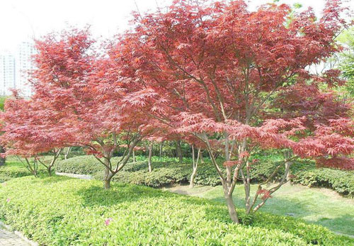 tѿr(sh)M(jn)жǰȝˮ