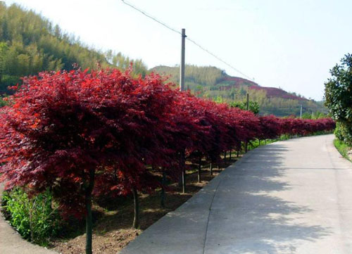 tѿr(sh)M(jn)жǰȝˮ